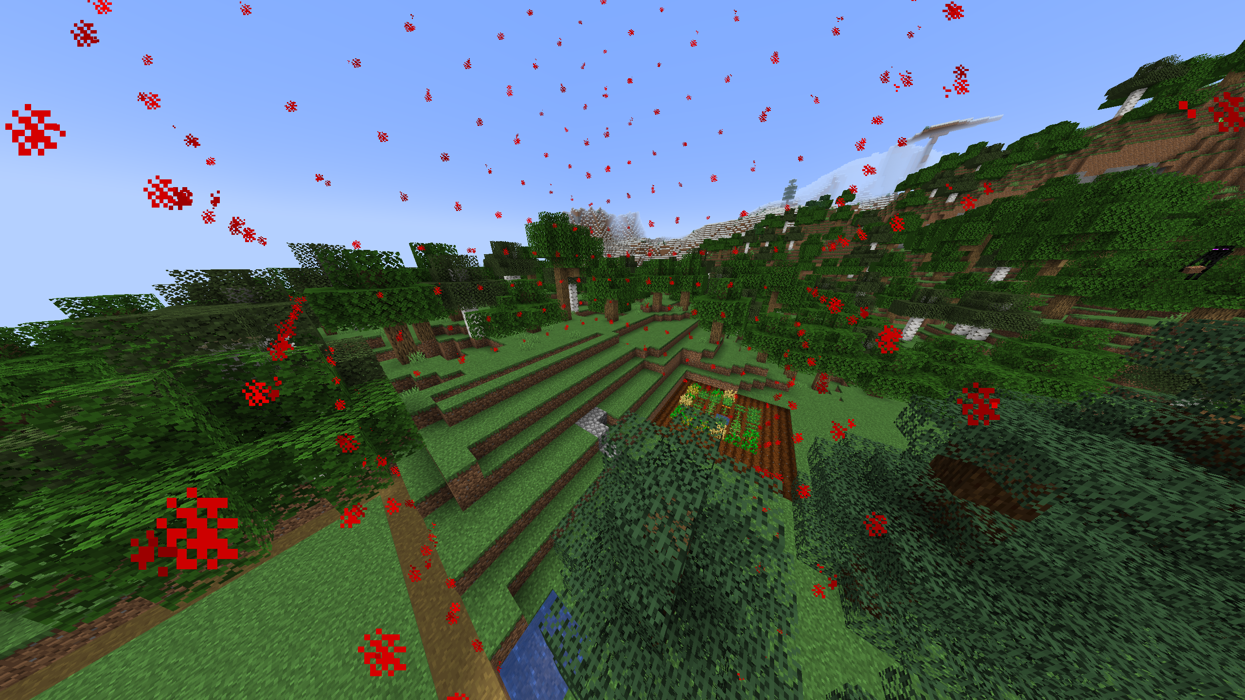 Feature Image